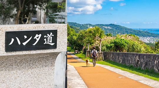 中城ハンタ道