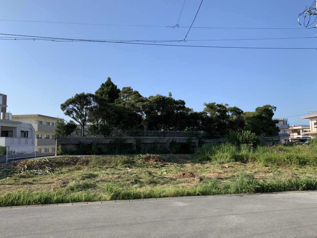 Photo 2019-03-01 16 23 04