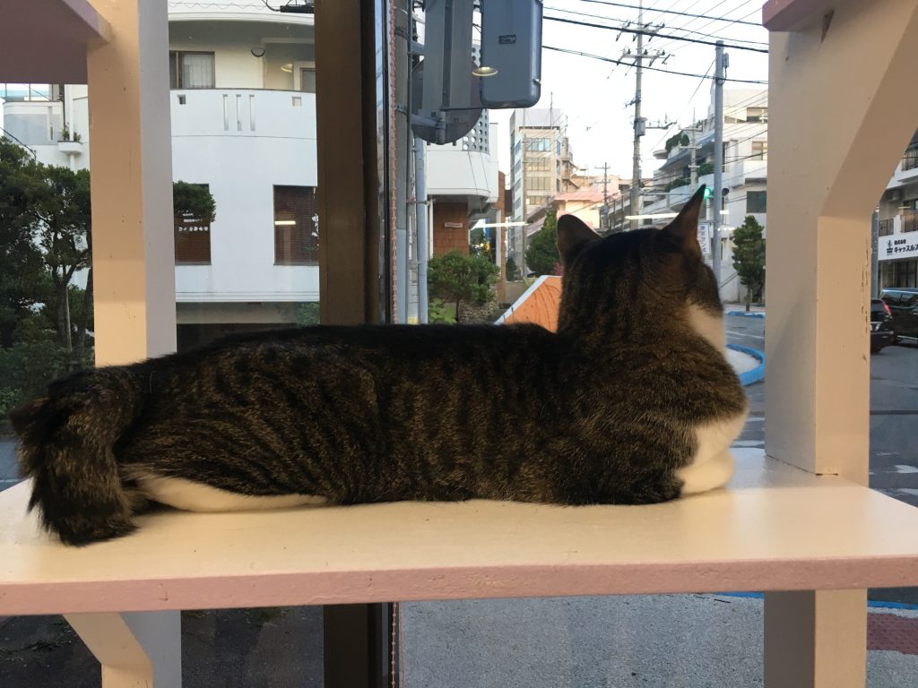 写真 2019-05-05 18 53 55